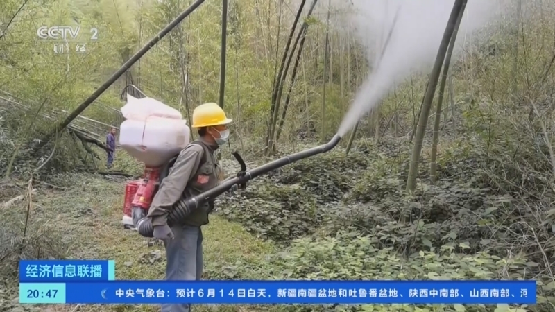 经济信息联播 《经济信息联播》 20240613