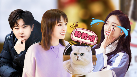 又暖又皮郭京飞Carry全场