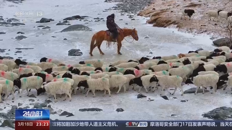 24小时 《24小时》 20240318