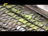 走南闯北广西人 《走南闯北广西人》 20151226 绣里乾坤——金馨