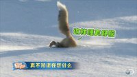 轻松时刻 第二季 国庆放假也别想睡好 57
