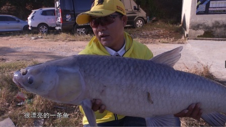 猎青第四十三期，作战惠州渔乐钓场，两天坚守终有渔获