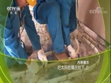 走近科学 《走近科学》 20180212 把太阳能藏在地下（上）