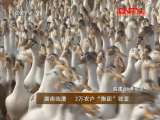 县域经济报道 《县域经济报道》 20110829