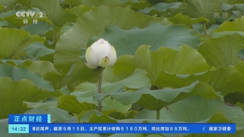 正点财经 《正点财经》 20220920 14:00