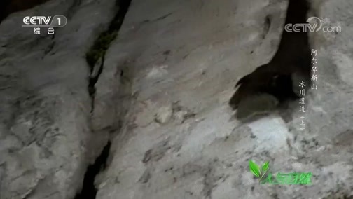人与自然 《人与自然》 20190227 阿尔卑斯山——冰川遗迹（上）