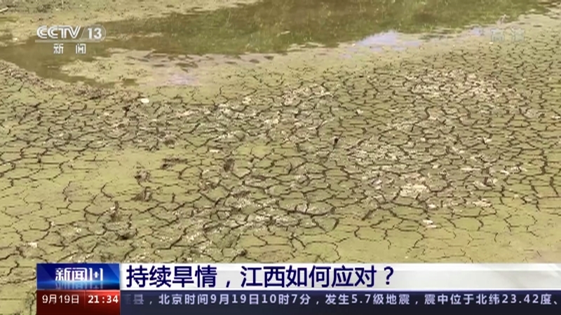 新闻1+1 《新闻1+1》 20220919 持续旱情，江西如何应对？