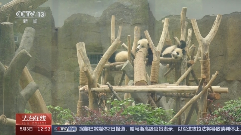 法治在线 《法治在线》 20240503