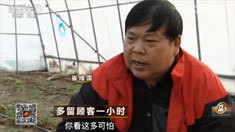 致富经 [致富经]多留顾客一小时 20160510