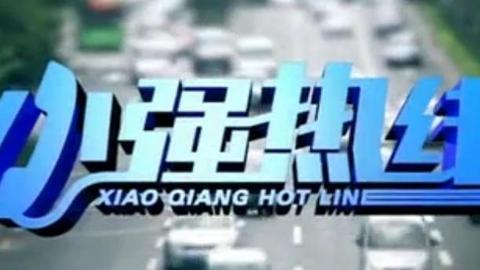小强热线 小强热线20150220