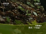 走近科学 《走近科学》 20160119 勇闯“干饭盆”