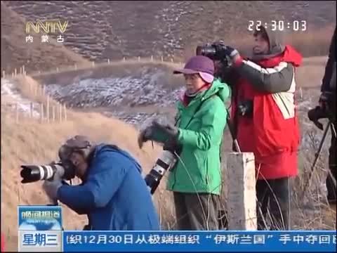 晚间报道 《晚间报道-内蒙古》 20141231