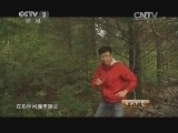生财有道 《生财有道》 20140926 森林小精灵带来大财富