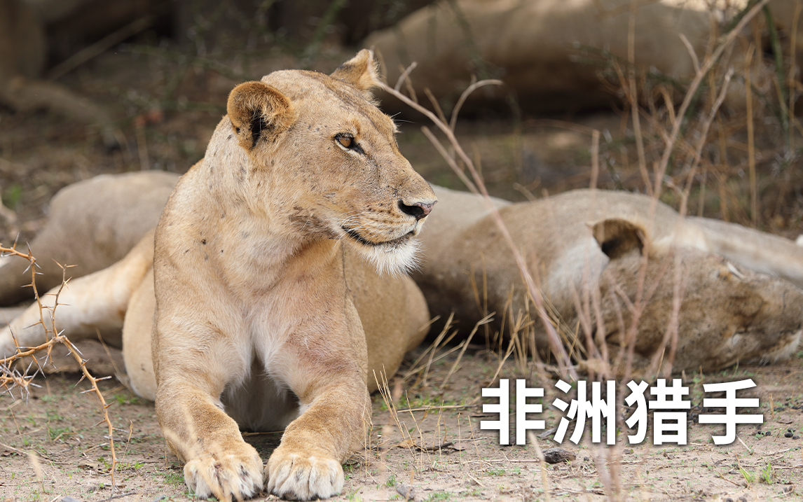 “不合群”成年了