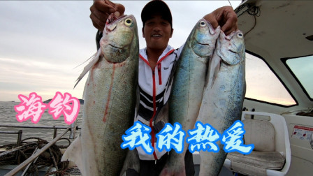 今天东北风阿杰凭经验出海，这个季节章跳成群，又被阿杰逮个正着