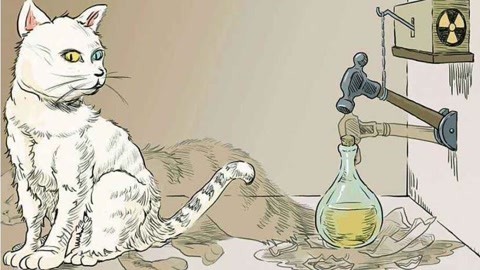 天才简史 薛定谔的猫是理科神兽？