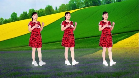玫香广场舞《人这一辈子图个啥》DJ版，动感动听