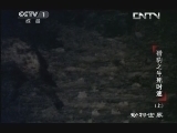 动物世界 《动物世界》 20130612 猎豹之生死时速（上）