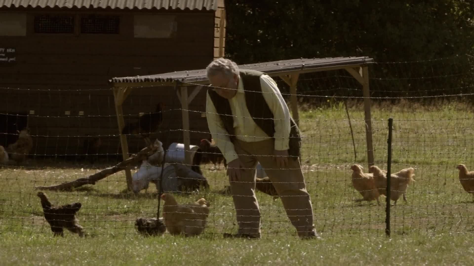 The Fantastical World of Hormones