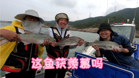 粉丝包船海钓，鲈鱼，章跳，虎头鱼钓了一大堆，这样钓鱼太刺激