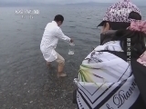 地理中国 《地理中国》 20140112 赛里木湖之谜（下）