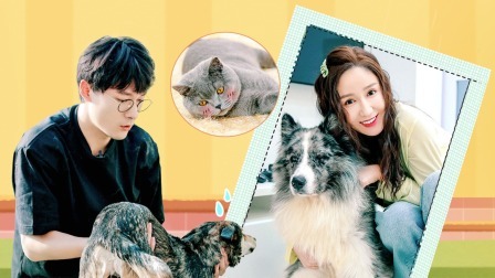 娄艺潇变萌宠美容师