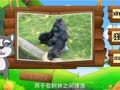 看图识物 猩猩 犀牛 鳄鱼