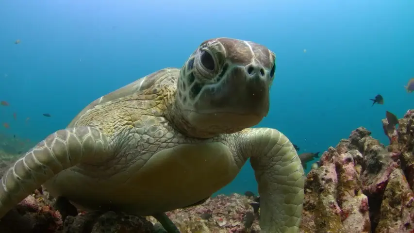 《海洋间谍》第3集