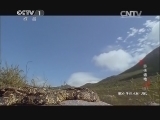 动物世界 《动物世界》 20140620 游侠遍地（四）