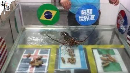 足球大虾瞎操心 尼日利亚对冰岛哪个队胜？足球大虾瞎操心来预测