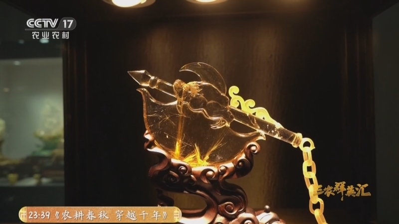 三农群英汇 《三农群英汇》 20260501 一粒水晶富一村