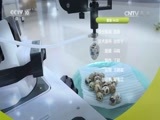 我爱发明 《我爱发明》 20170713 妙擀饺皮