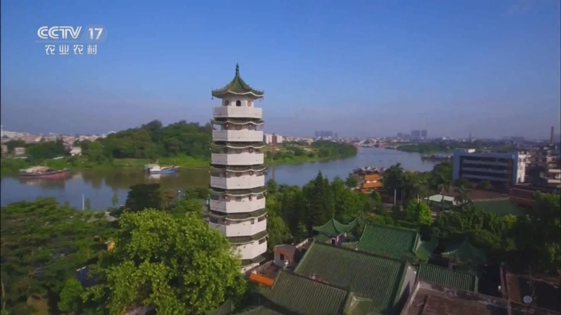 《乡村大舞台》 20241231 幸福节节高