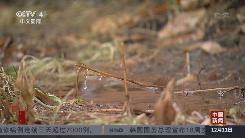 《中国新闻》 20211211 07:00