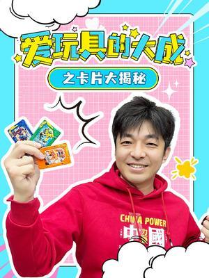 爱玩具的大成之卡片大揭秘