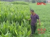 县域经济报道 《县域经济报道》 20111213