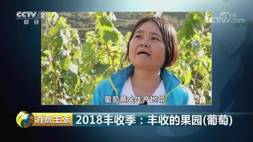 消费主张 《消费主张》 20180928 2018丰收季：丰收的果园（葡萄）