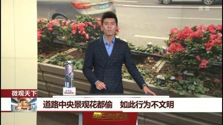 每日新闻报 没完成寒假作业的学生可以打欠条，缓交作业，你怎么看？