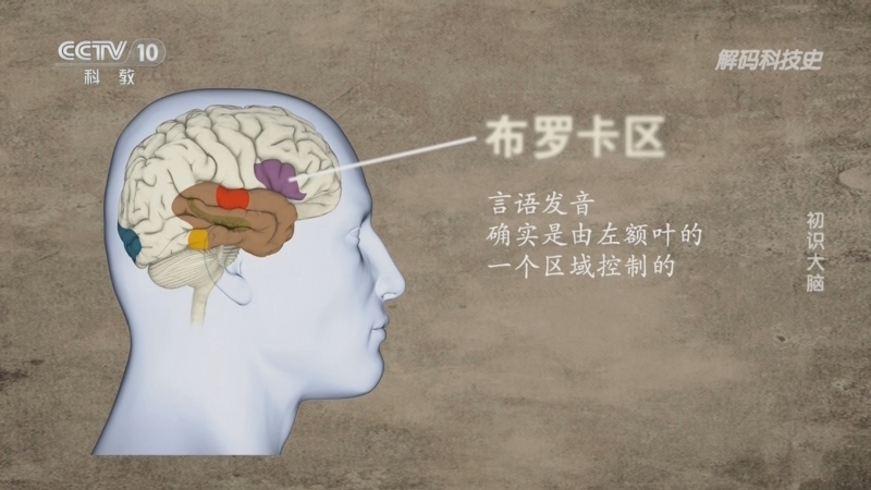 解码科技史 《解码科技史》 20231223 初识大脑