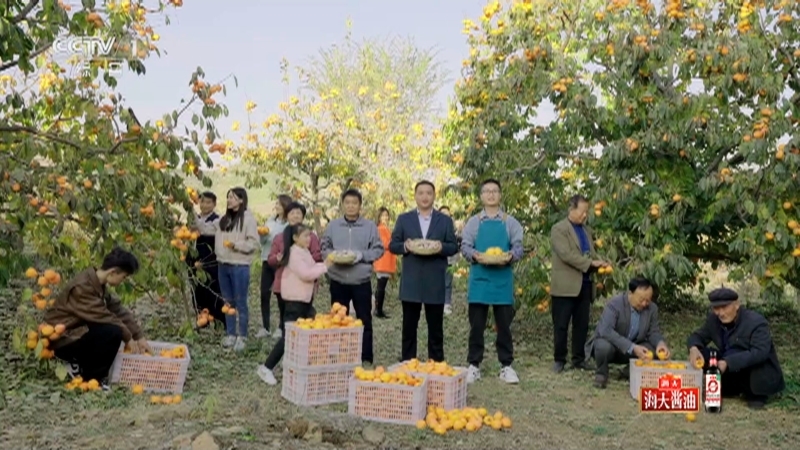 《山水间的家》 20221119