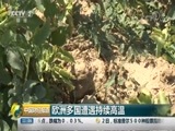 中国财经报道 《中国财经报道》 20180803 11:00