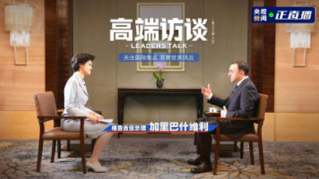 高端访谈 高端访谈｜ 专访格鲁吉亚总理加里巴什维利