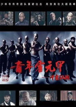 青年霍元甲之冲出江湖 DVD版