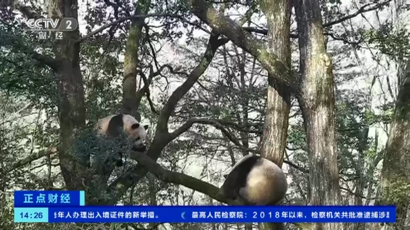 《正点财经》 20210329 14:00