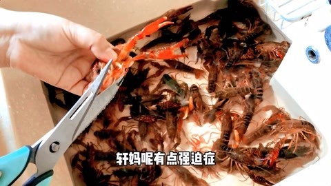 梁小轩和轩妈试吃各种美食 轩妈非专业版麻辣小龙虾