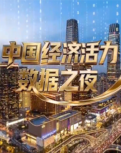 中国经济活力数据之夜 海报