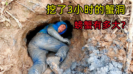 这能确定是赶海？还是借赶海之名盗墓？