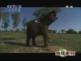 地球密码（周末精编节目） 周末精编节目 2010年 第159期 2-2