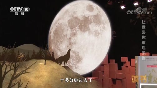 读书 《读书》 20181028 李微漪 让我带你重返狼群