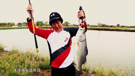 出征泰国战大物 休说鲈鱼堪脍